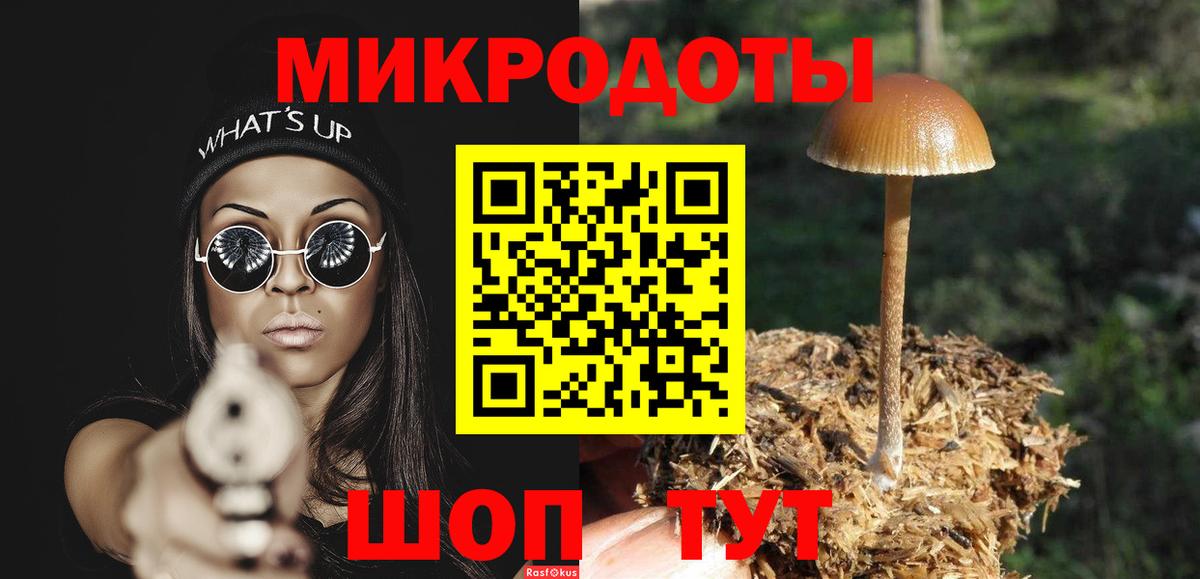 Псилоцибиновые грибы GOLDEN TEACHER  Вход с VPN  наркота  Новый Уренгой  Галлюциногенные грибы ЛСД 